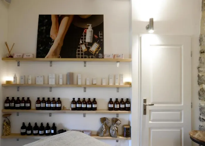 Hotel Château De Pondres Villevieille