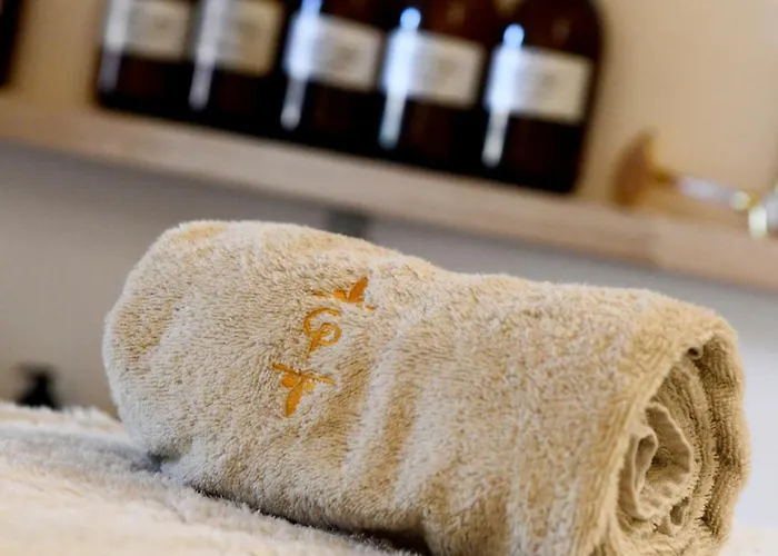 Château De Pondres Villevieille