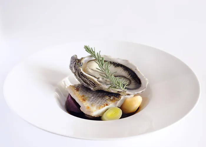 Château De Pondres Villevieille